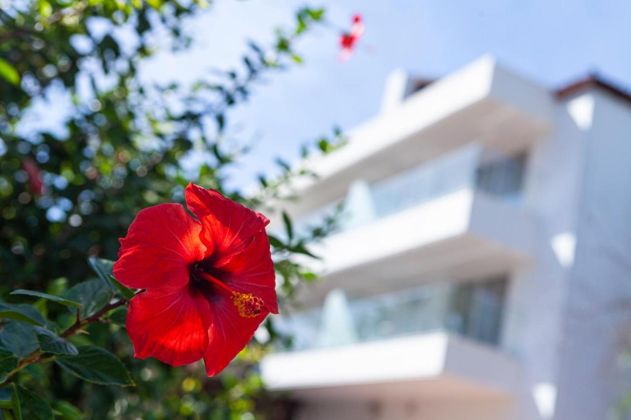 Hotel Jerez & Spa Jerez de la Frontera Dış mekan fotoğraf